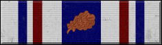 Commendation Ribbon (with Bronze Oak Leaf cluster)